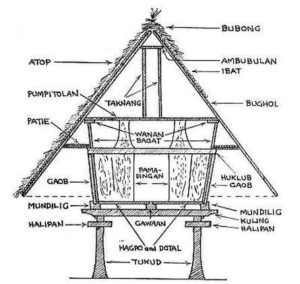 bahay kubo cross section drawing 